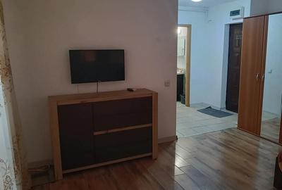 Garsoniera, complex confort park, Rin grand hotel - 7