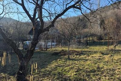 Casă cu 4 camere cu Teren 1000 Mp în Firiza - 12