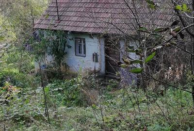 Teren de 11650 mp, în Valea Borcutului - 4