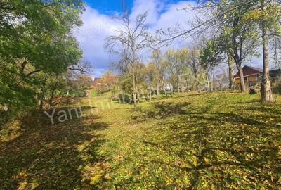 Teren de vanzare in comuna Arefu, jude? Arge?. - 3