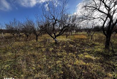 Spațiu comercial, în Central - 8