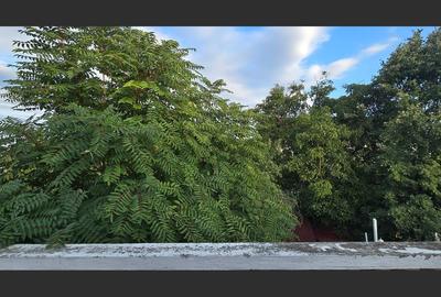 Casă cu 5 camere, 3 terase si gradina mica | Zona Lipovei - 39