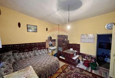 Casa cu teren Neicu/Panciu - 29