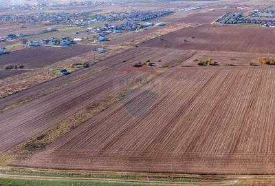 Vanzare teren intravilan 7,400 mp Sabareni / Strada Primaverii - 18