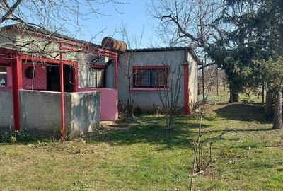 Teren extravilan de 1000 mp, în Sud-Vest - 2