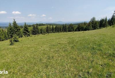 Teren de 700 mp, în Tiha Bârgăului - 11