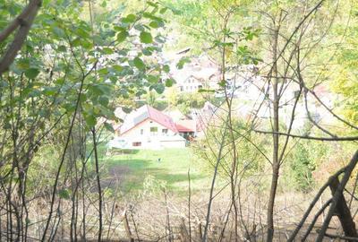 Teren de 2390 mp, în Schei - 13