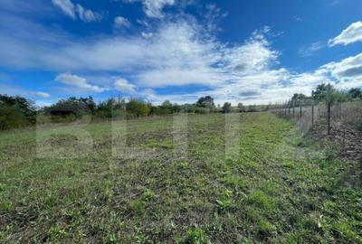 De Vanzare - Teren Intravilan, Localitatea Sumugiu - 2