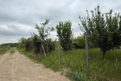 Teren agricol intravilan de 1212 mp, în Miroslava - 9