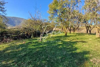 Parcelele cu cele mai bune preturi din judet - 5