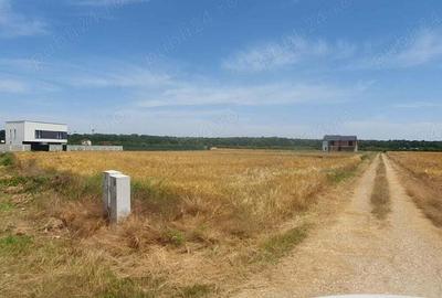 Teren situat in Balotesti,langa padure,acces drum pietruit, 28000 euro - 2