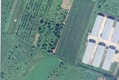 Teren de 2184 mp, în Mintia - 3