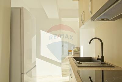 Garsoniera de inchiriat, parcare subterana, etaj 1 | Zon... - 24