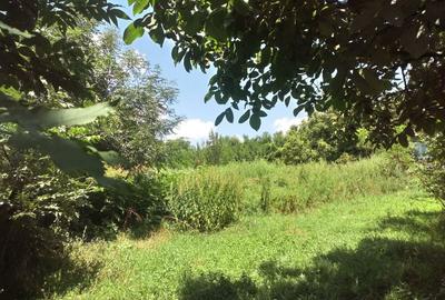 Casă cu 3 camere cu Teren 5000 Mp în Central - 2