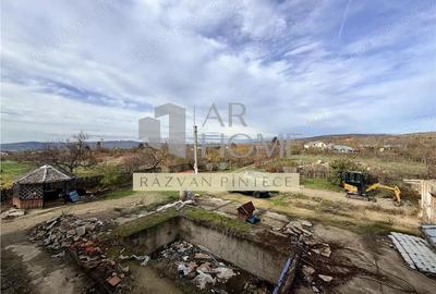 Pensiune 6 camere, teren 12713 mp, Dealul Mare, Urlati, Prahova - 6