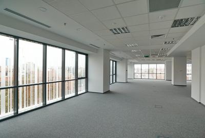 Comision 0% ! Birou premium in zona Piata Victoriei- Romana - 3