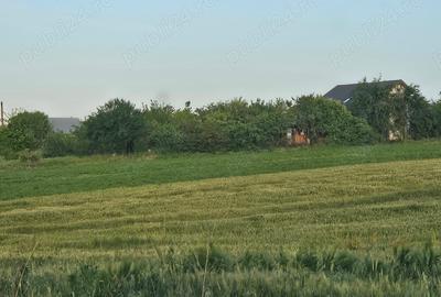 Teren de 11860 mp, în Călugăreni - 1