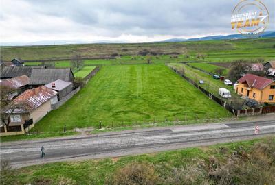 FILM!Potential rezidential investitional: 8.000 mp intravil - 2