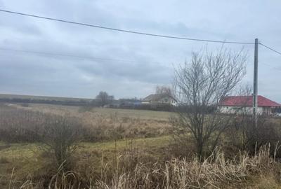 Teren de 2800 mp, în Satulung - 3