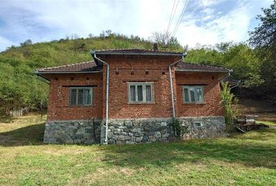 Teren, padure si casa in Dumbrava de Jos, jud. Hunedoara - 3