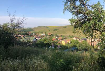 Teren de 2900 mp, în Dezmir - 3