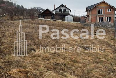 Teren de 1500 mp, în Sadu - 4