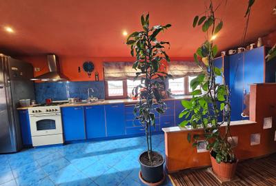 Coiciu Casa de Vanzare Casa din Vis P+M Parcare in Curte - 21