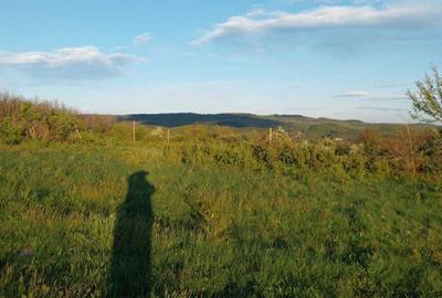 Spațiu comercial, în Cireșu - 5