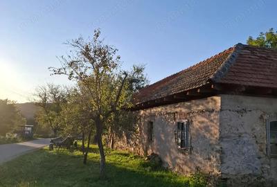 Casă cu 3 camere cu Teren 1200 Mp în Goruia - 1