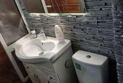 Apartament cu 2 camere în Central - 2