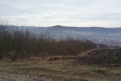 Teren de 5063 mp, în Lechința - 12