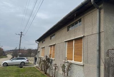 Casă individuală cu 4 camere cu Teren 2800 Mp în Criciova - 4