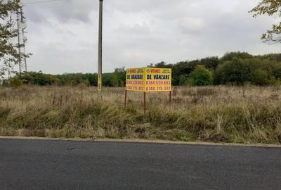 Teren Construcții intravilan de 5000 mp, în Baisa