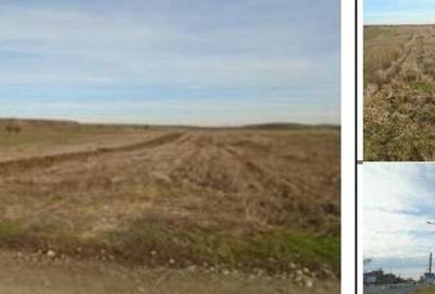 Teren Extravilan Arabil Ghimpati, ID: R1964858 - 1