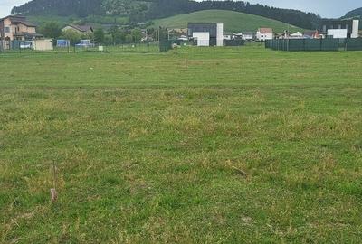 Oportunitate! 550 mp, str Zmeurei, PUZ, Zona rezidentiala 34000 EURO - 2