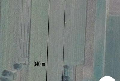 Teren de 10000 mp, în Budești - 3