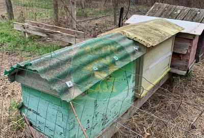 Casă cu 3 camere cu Teren 1470 Mp în Horia - 3
