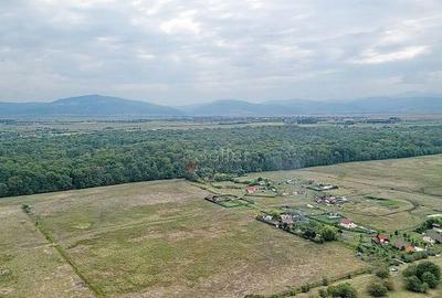 Teren Extravilan - 5