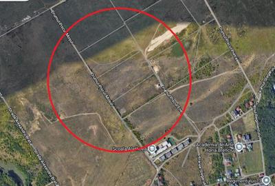 Teren de 19000 mp, în Băneasa