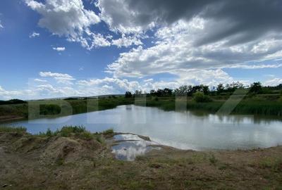 Teren extravilan 10000 mp, cu balta de peste, Salaj, Sarmasa - 16