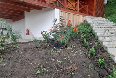 Cabana de vânzare, Valeni - 7