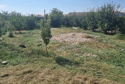 Teren Construcții intravilan de 3417 mp, în Poiana - 2