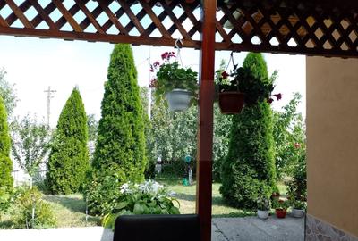 Casă individuală cu 3 camere cu Canalizare în Hănțești - 31