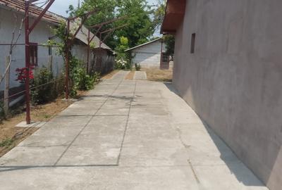 Casă cu 3 camere cu Teren 1700 Mp în Central - 1