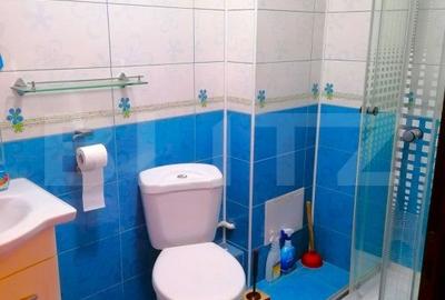 Vila cu 4 nivele si 475 mp utili, teren de 300 mp, in zona Colentina, Bucuresti - 19