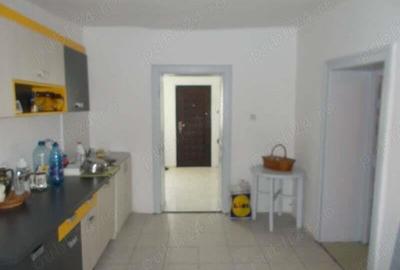 Casa, Sanandrei, 2 camere, teren 1340mp, gradina pomi, asfalt, utilitati, centrala gaz - 3