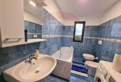 Casă cu 6 camere cu Teren 3141 Mp în Ploștina - 6