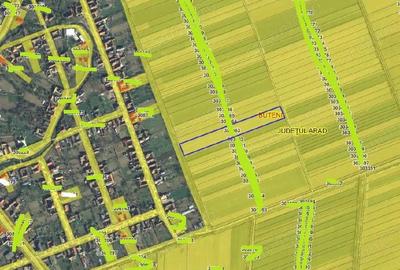 Teren extravilan-Loc. Buteni, jud. Arad - 1
