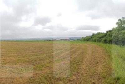 Teren Extravilan de vanzare in Garbova !!! COMISION 0% !!! Teren Extravilan de vanzare in Garbova !!! COMISION 0% !!! - 2