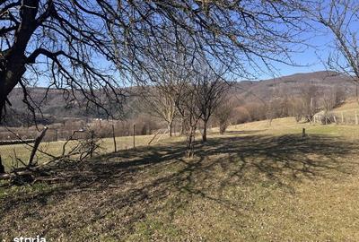 Teren de 3020 mp, în Negreni - 4